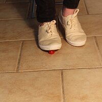  : Gallery : keds : 2014 : 03 : IMG_6887.JPG