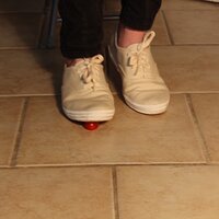  : Gallery : keds : 2014 : 03 : IMG_6888.JPG
