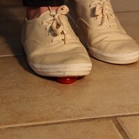  : Gallery : keds : 2014 : 03 : IMG_6892.JPG