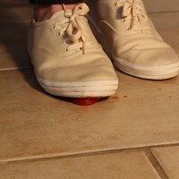  : Gallery : keds : 2014 : 03 : IMG_6893.JPG