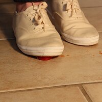  : Gallery : keds : 2014 : 03 : IMG_6894.JPG