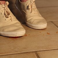  : Gallery : keds : 2014 : 03 : IMG_6897.JPG