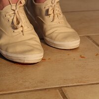 : Gallery : keds : 2014 : 03 : IMG_6898.JPG