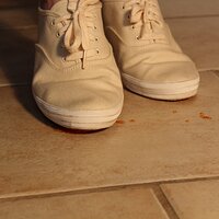  : Gallery : keds : 2014 : 03 : IMG_6899.JPG