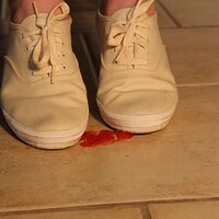  : Gallery : keds : 2014 : 03 : IMG_6932.JPG