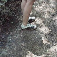  : Gallery : original : 2001 : 01 : kb485.jpg