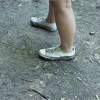  : Gallery : original : 2001 : 01 : kb499.jpg