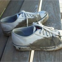  : Gallery : original : 2001 : 01 : kb502.jpg