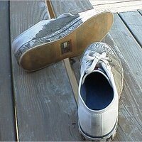  : Gallery : original : 2001 : 01 : kb504.jpg