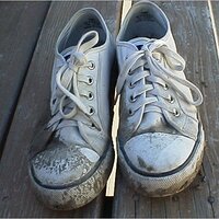  : Gallery : original : 2001 : 01 : kb512.jpg