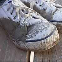  : Gallery : original : 2001 : 01 : kb513.jpg