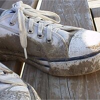  : Gallery : original : 2001 : 01 : kb514.jpg