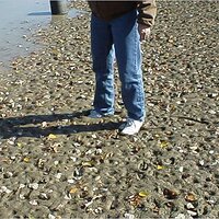  : Gallery : original : 2001 : 01 : kb524.jpg