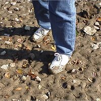  : Gallery : original : 2001 : 01 : kb528.jpg
