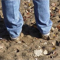  : Gallery : original : 2001 : 01 : kb531.jpg