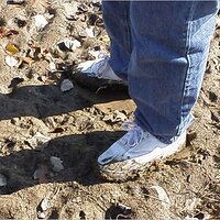  : Gallery : original : 2001 : 01 : kb532.jpg