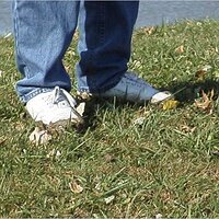  : Gallery : original : 2001 : 01 : kb534.jpg