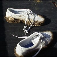  : Gallery : original : 2001 : 01 : kb547.jpg