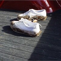  : Gallery : original : 2001 : 01 : kb548.jpg