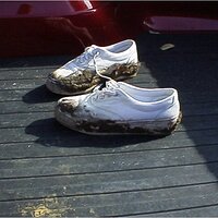  : Gallery : original : 2001 : 01 : kb549.jpg