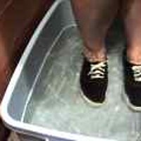  : Gallery : original : 2001 : 08 : T_wet013.jpg