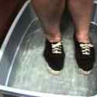  : Gallery : original : 2001 : 08 : T_wet014.jpg