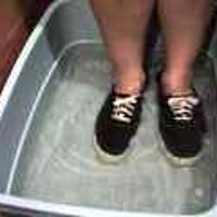  : Gallery : original : 2001 : 08 : T_wet017.jpg