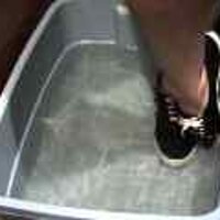  : Gallery : original : 2001 : 08 : T_wet024.jpg