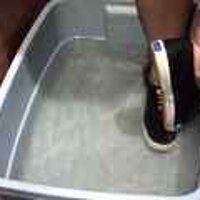  : Gallery : original : 2001 : 08 : T_wet026.jpg