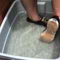  : Gallery : original : 2001 : 08 : T_wet035.jpg