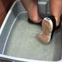  : Gallery : original : 2001 : 08 : T_wet040.jpg