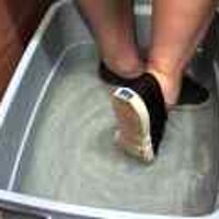  : Gallery : original : 2001 : 08 : T_wet041.jpg