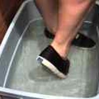  : Gallery : original : 2001 : 08 : T_wet042.jpg