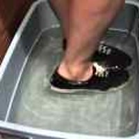  : Gallery : original : 2001 : 08 : T_wet044.jpg