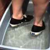  : Gallery : original : 2001 : 08 : T_wet055.jpg