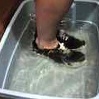  : Gallery : original : 2001 : 08 : T_wet058.jpg