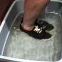  : Gallery : original : 2001 : 08 : T_wet062.jpg