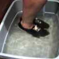  : Gallery : original : 2001 : 08 : T_wet065.jpg