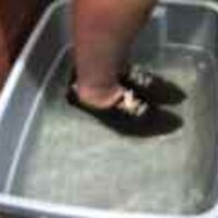  : Gallery : original : 2001 : 08 : T_wet066.jpg