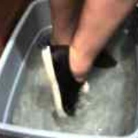  : Gallery : original : 2001 : 08 : T_wet072.jpg