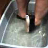  : Gallery : original : 2001 : 08 : T_wet073.jpg