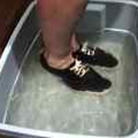  : Gallery : original : 2001 : 08 : T_wet075.jpg