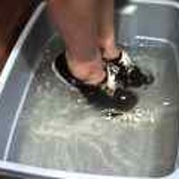  : Gallery : original : 2001 : 08 : T_wet082.jpg