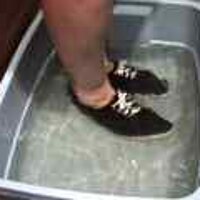  : Gallery : original : 2001 : 08 : T_wet086.jpg