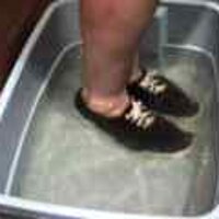  : Gallery : original : 2001 : 08 : T_wet088.jpg