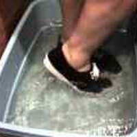  : Gallery : original : 2001 : 08 : T_wet099.jpg