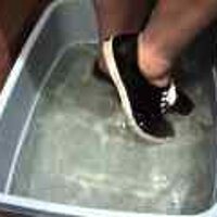  : Gallery : original : 2001 : 08 : T_wet100.jpg