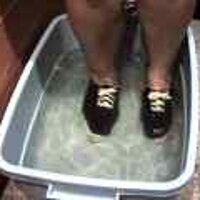  : Gallery : original : 2001 : 08 : T_wet108.jpg