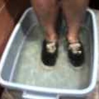  : Gallery : original : 2001 : 08 : T_wet109.jpg