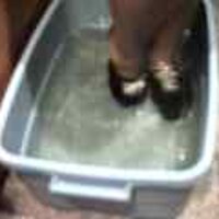 : Gallery : original : 2001 : 08 : T_wet112.jpg